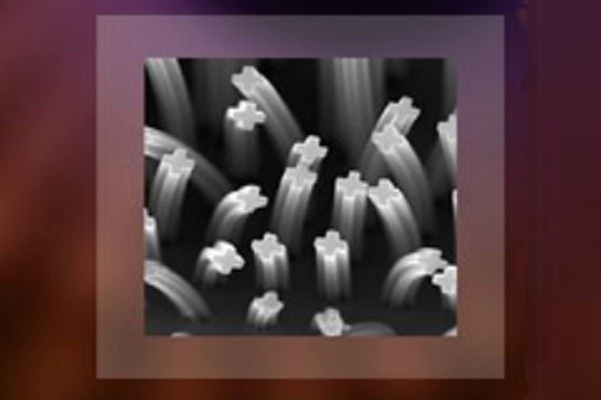 nano-objects